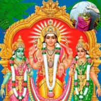 Sri Valli Devasena Sametha Subramanya Swamy Abhishekam (For Every 6 Tuesdays)